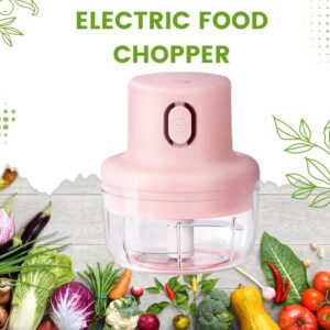 Mini Electric  Food Grinder and Vegetables Chopper