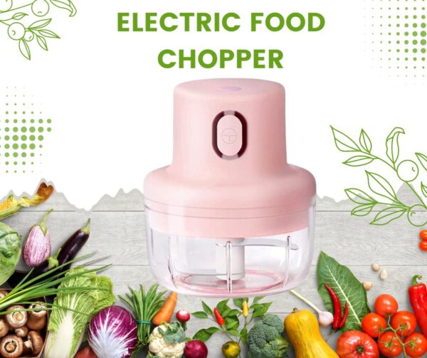 Mini Electric  Food Grinder and Vegetables Chopper